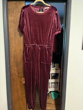 Velvet Drawstring Jumpsuit - Wine